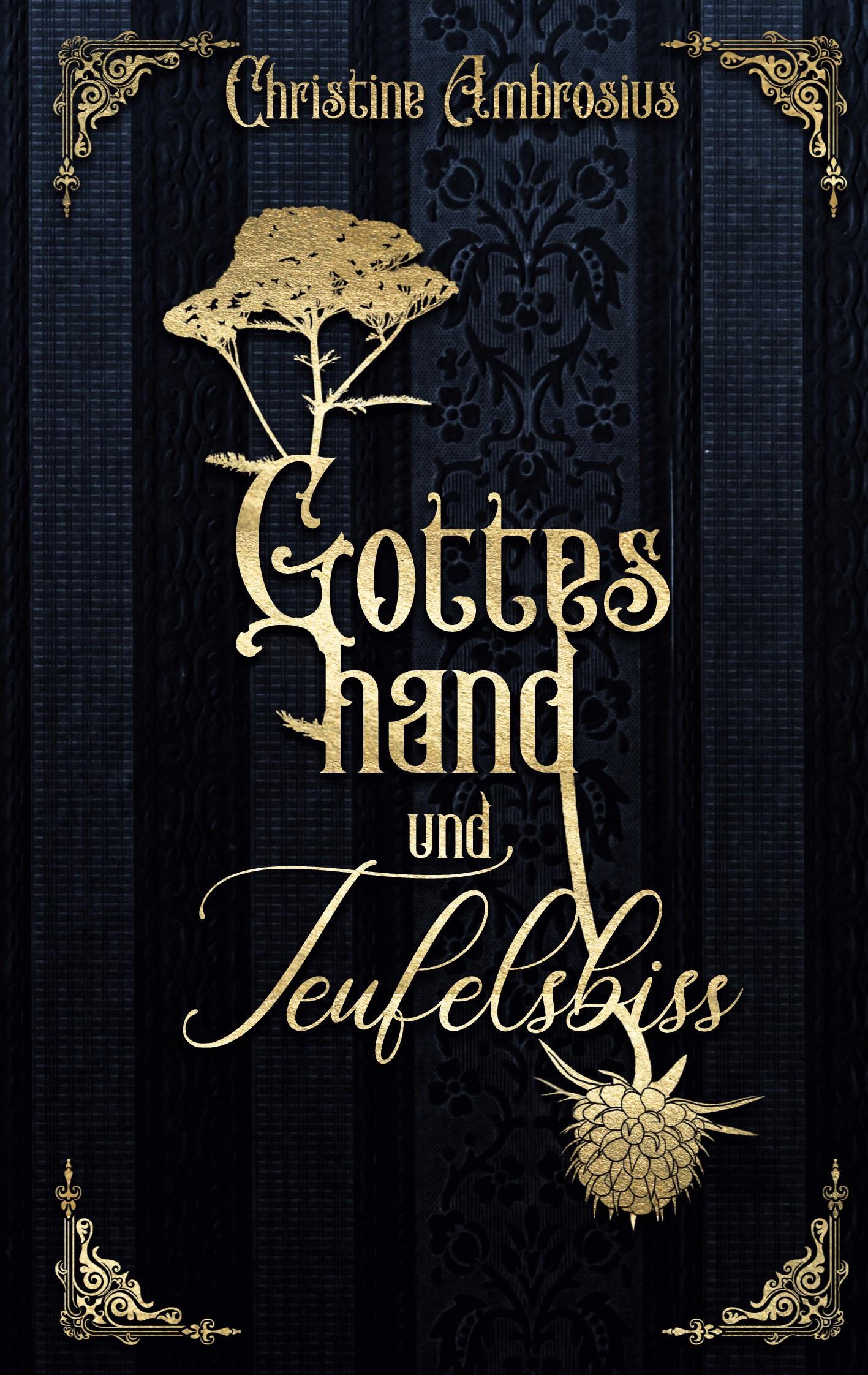 Cover: 9783756221745 | Gotteshand und Teufelsbiss | Christine Ambrosius | Taschenbuch | 2022