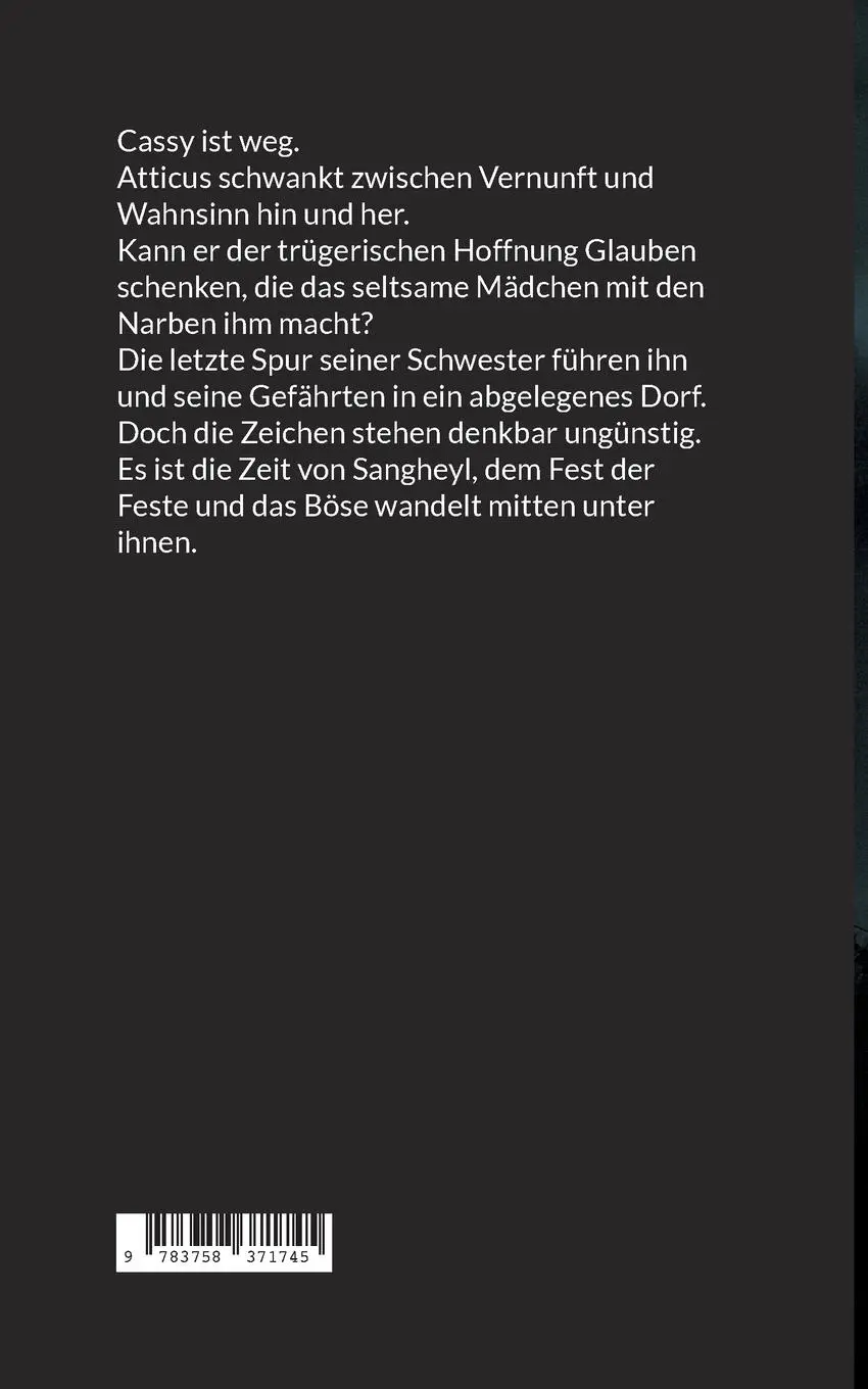 Rückseite: 9783758371745 | Sangheyl | Das Fest der Feste | Till Straßner | Taschenbuch | 318 S.