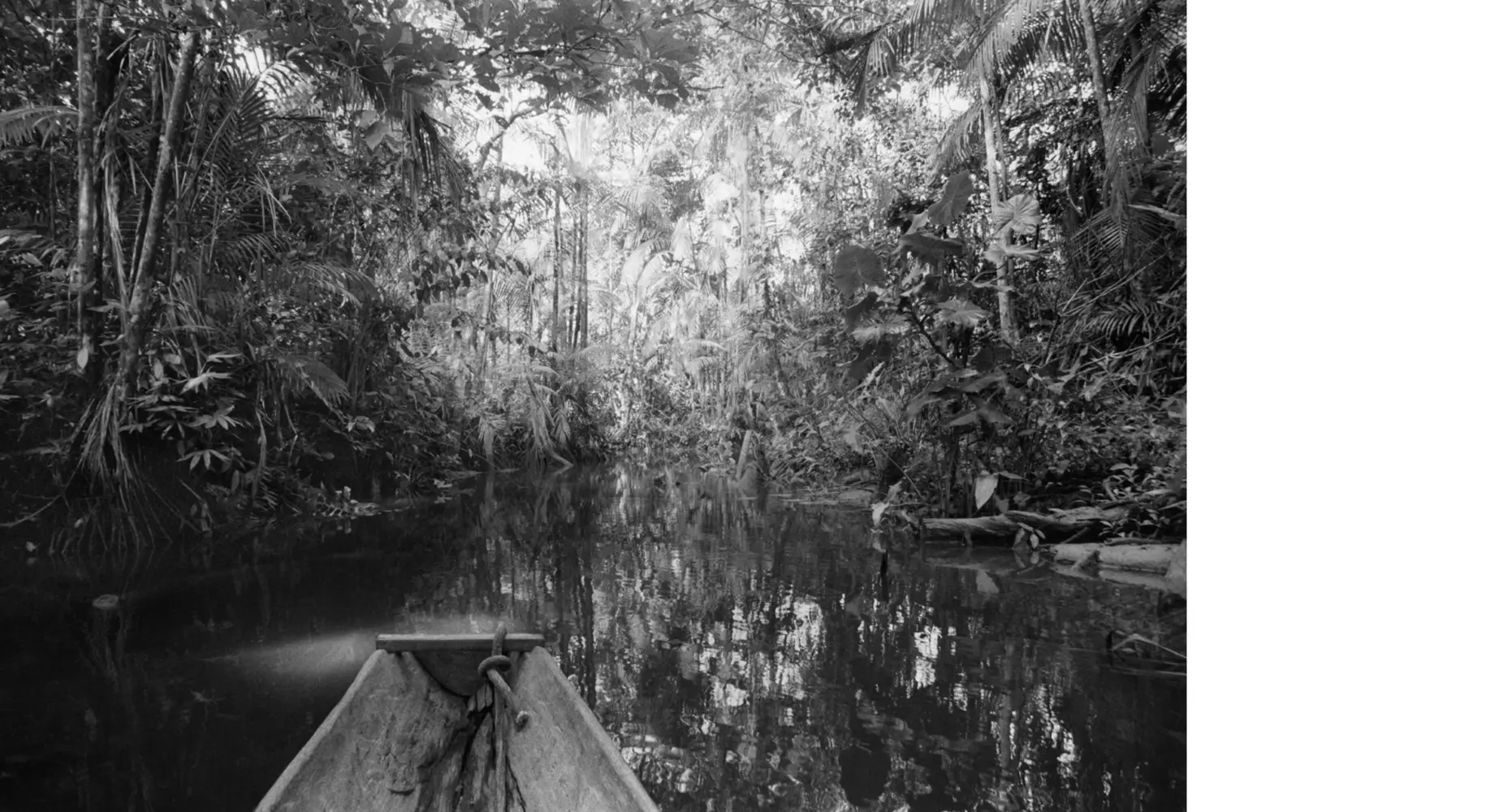 Bild: 9783969001745 | Stephanie Pommez | The Enchanted Ones | Stephanie Pommez | Buch | 2025