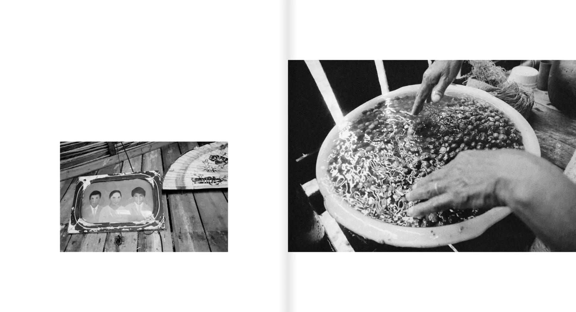 Bild: 9783969001745 | Stephanie Pommez | The Enchanted Ones | Stephanie Pommez | Buch | 2025