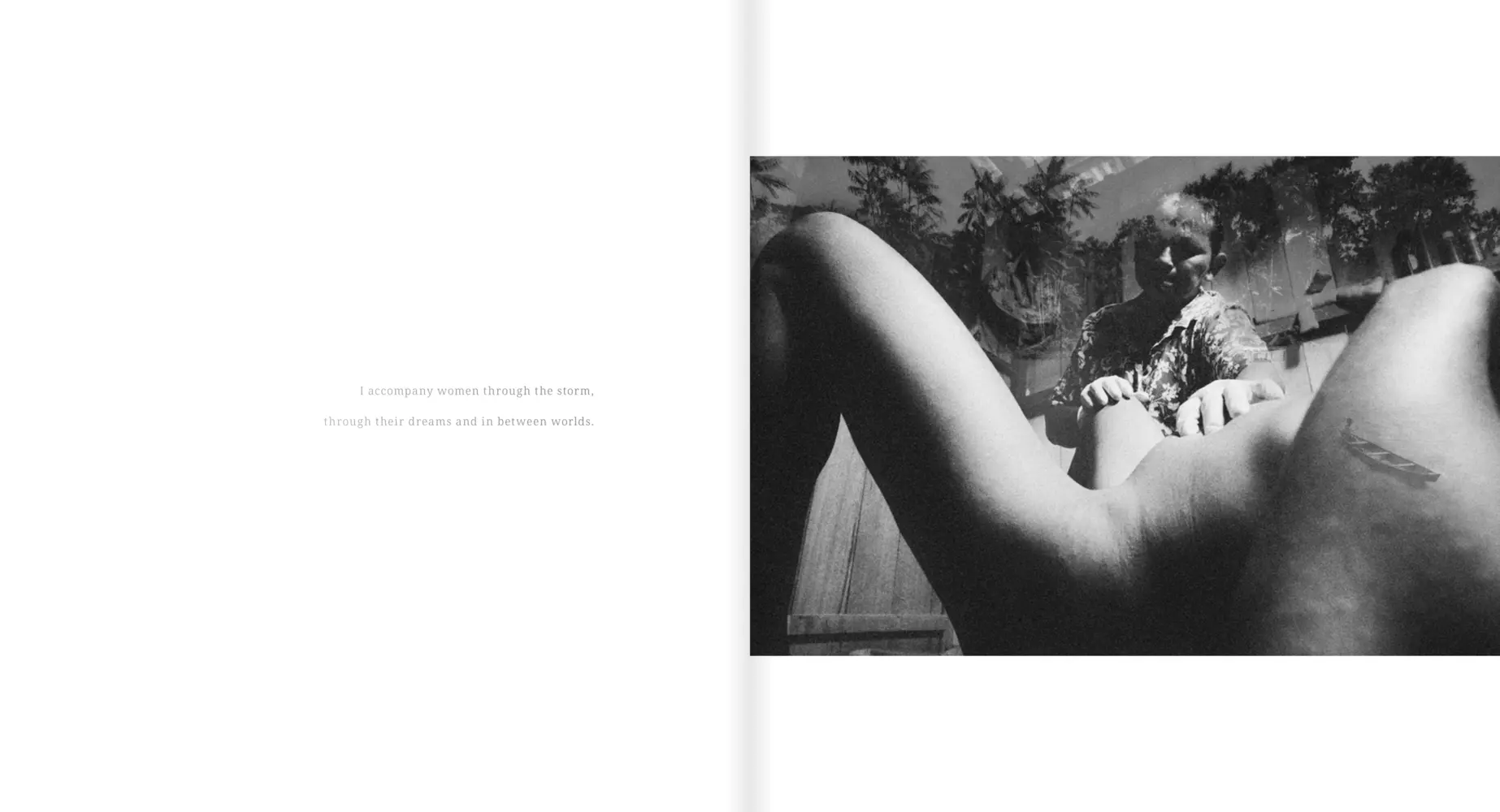 Bild: 9783969001745 | Stephanie Pommez | The Enchanted Ones | Stephanie Pommez | Buch | 2025