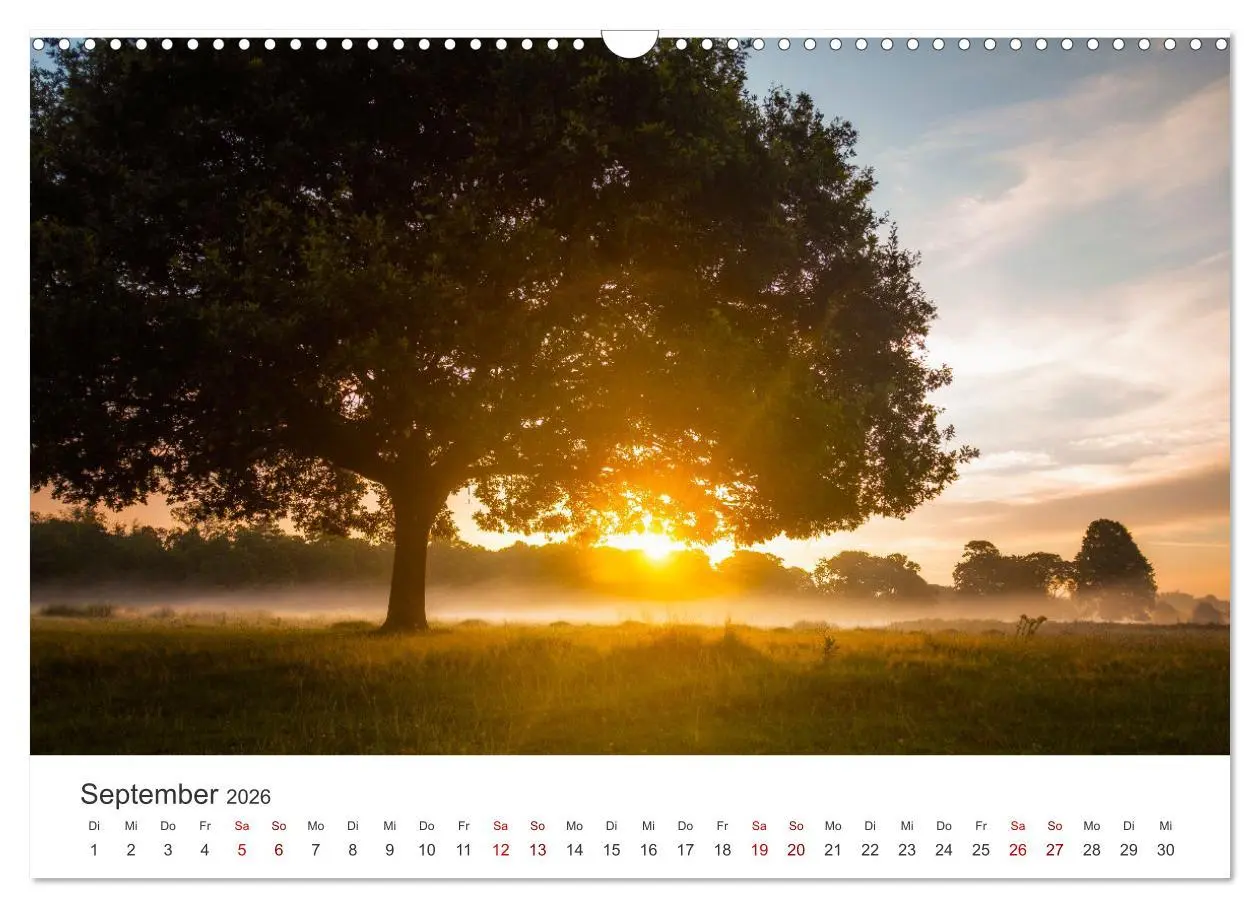 Bild: 9783457611845 | Sonnenaufgänge - Für einen guten Start in den Tag. (Wandkalender...