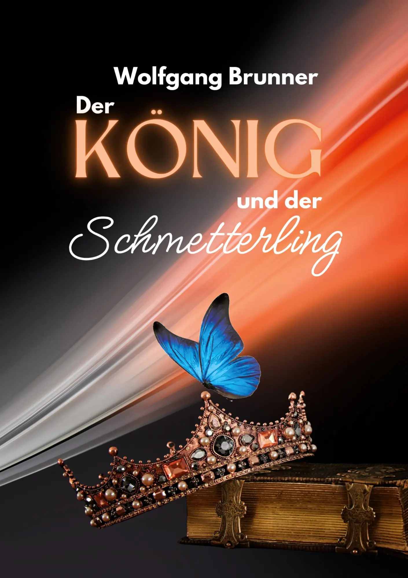 Cover: 9783819281945 | Der König und der Schmetterling | Wolfgang Brunner | Taschenbuch