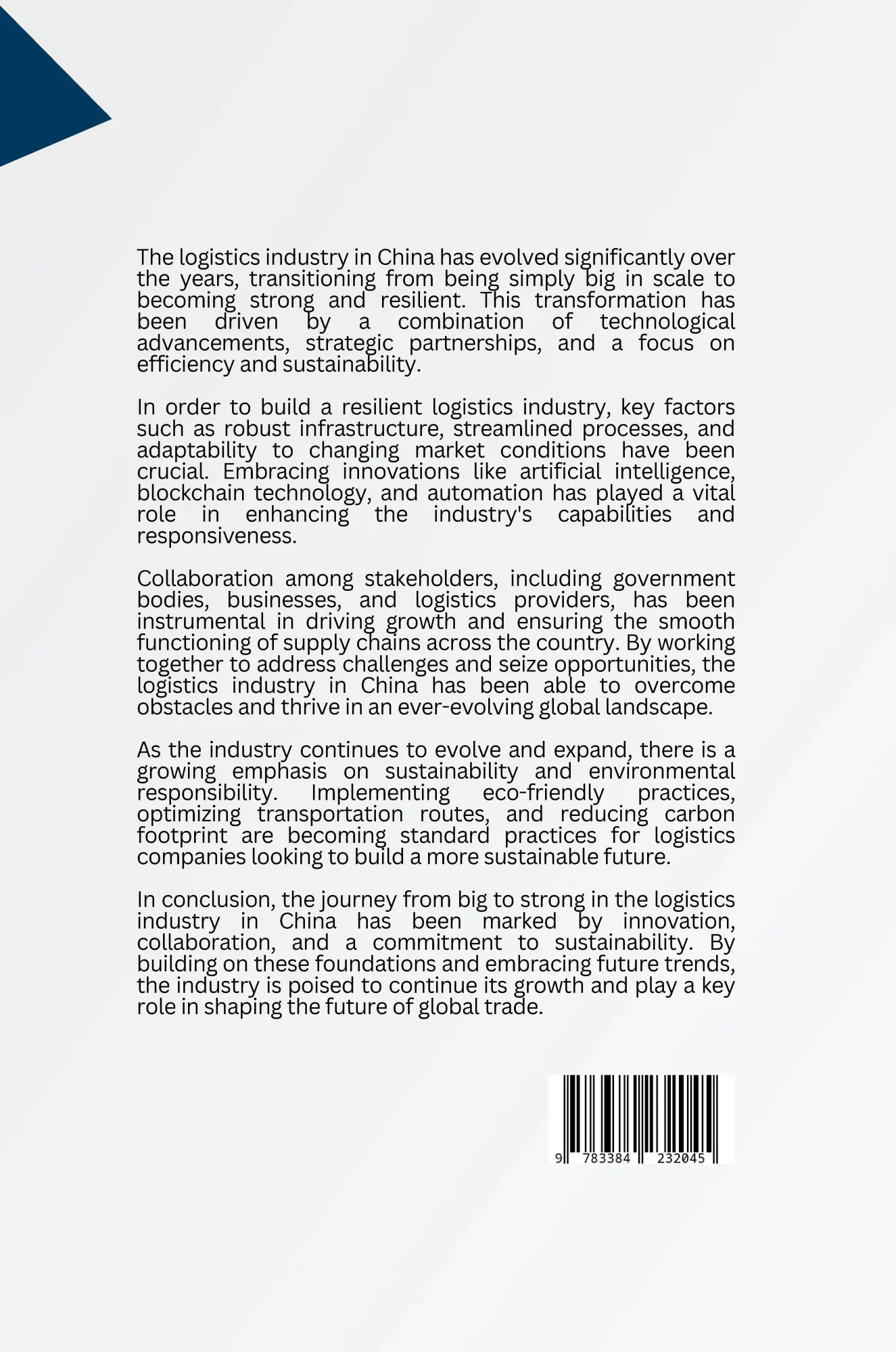 Rückseite: 9783384232045 | China's Logistics Boom: Securing Success with Risk Management | Buch