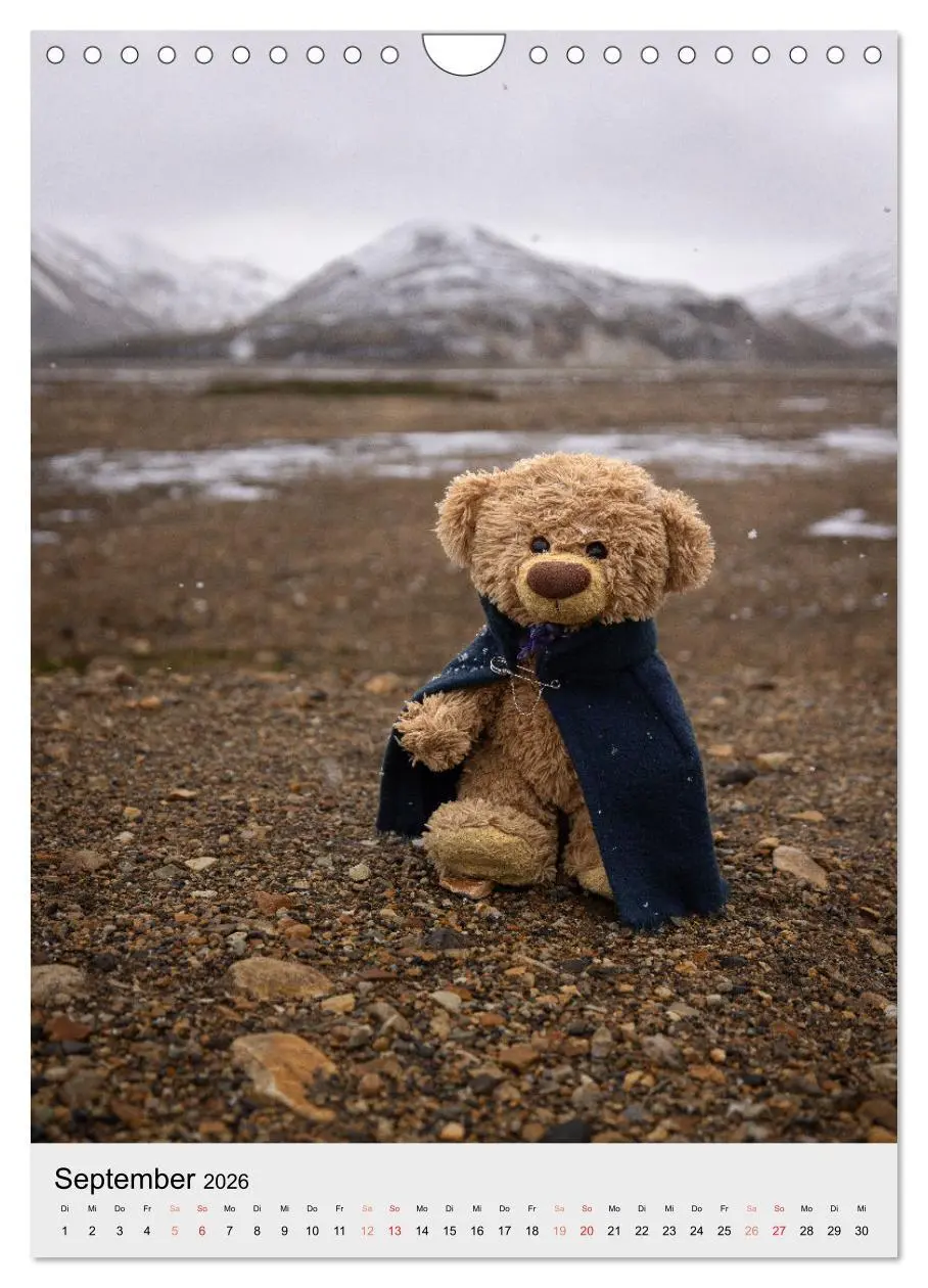 Bild: 9783516372045 | Travelling Teddy in Island (Wandkalender 2026 DIN A4 hoch),...