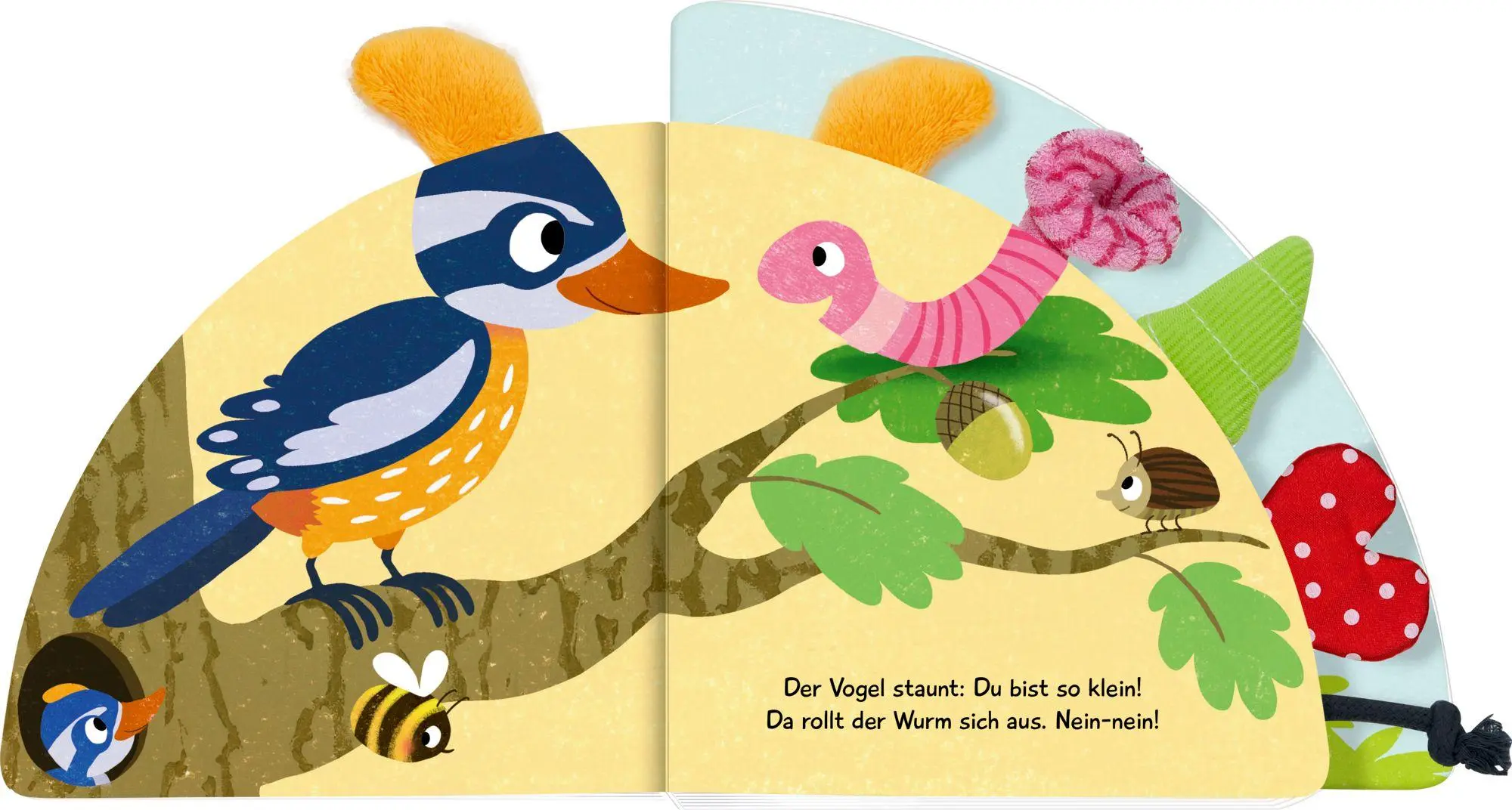 Bild: 9783649652045 | Fühl mal, wer ist da? Kribbelkrabbel | Mein erstes Fühl-Registerbuch