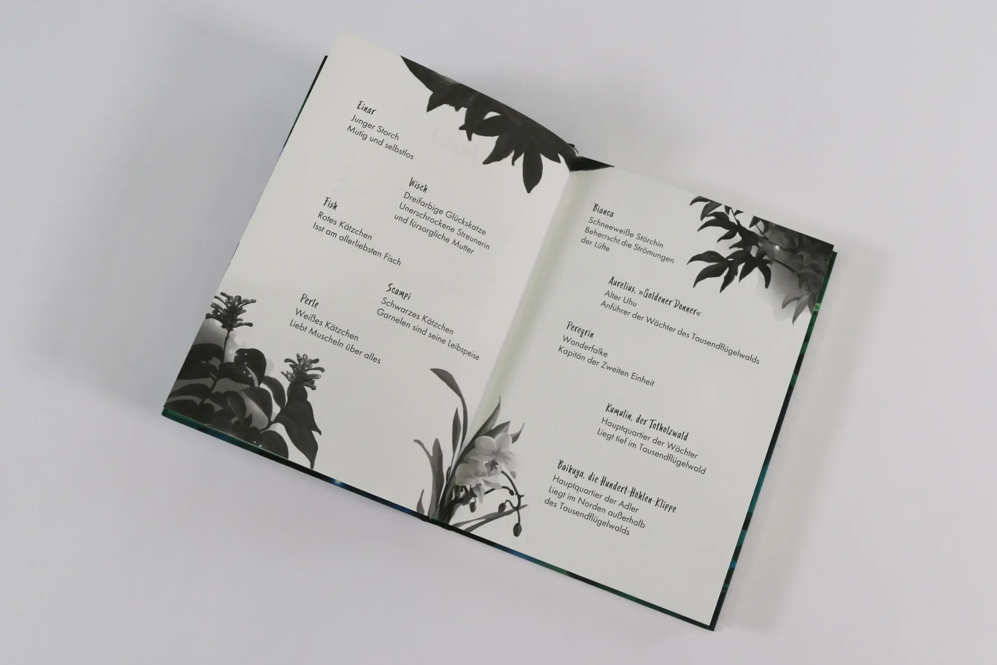 Bild: 9783743222045 | Wild Stork (Band 1) - Beschützer des Waldes | Jiatong Chen | Buch