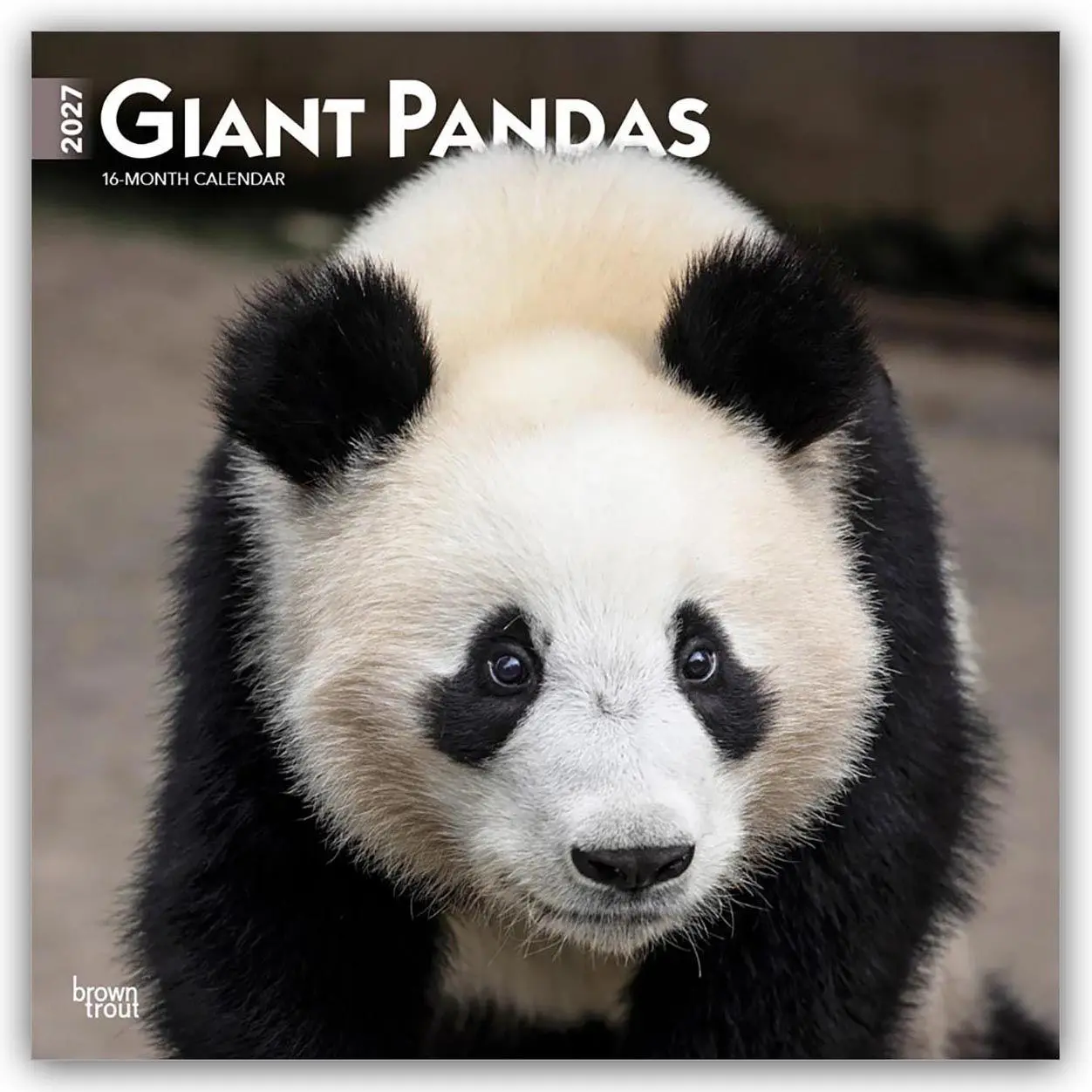 Cover: 9798330712045 | Giant Pandas - Großer Panda - Pandabären 2027 - 16-Monatskalender