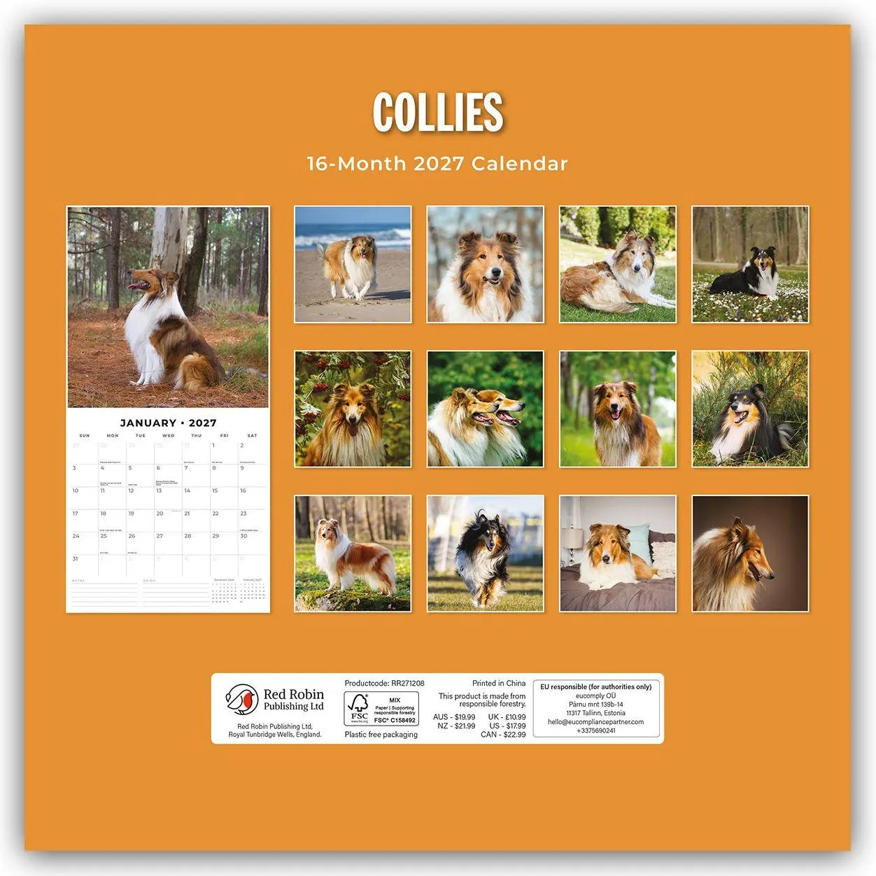 Bild: 9781837012145 | Collies - Collie 2027 - 16-Monatskalender | Robin Red | Kalender