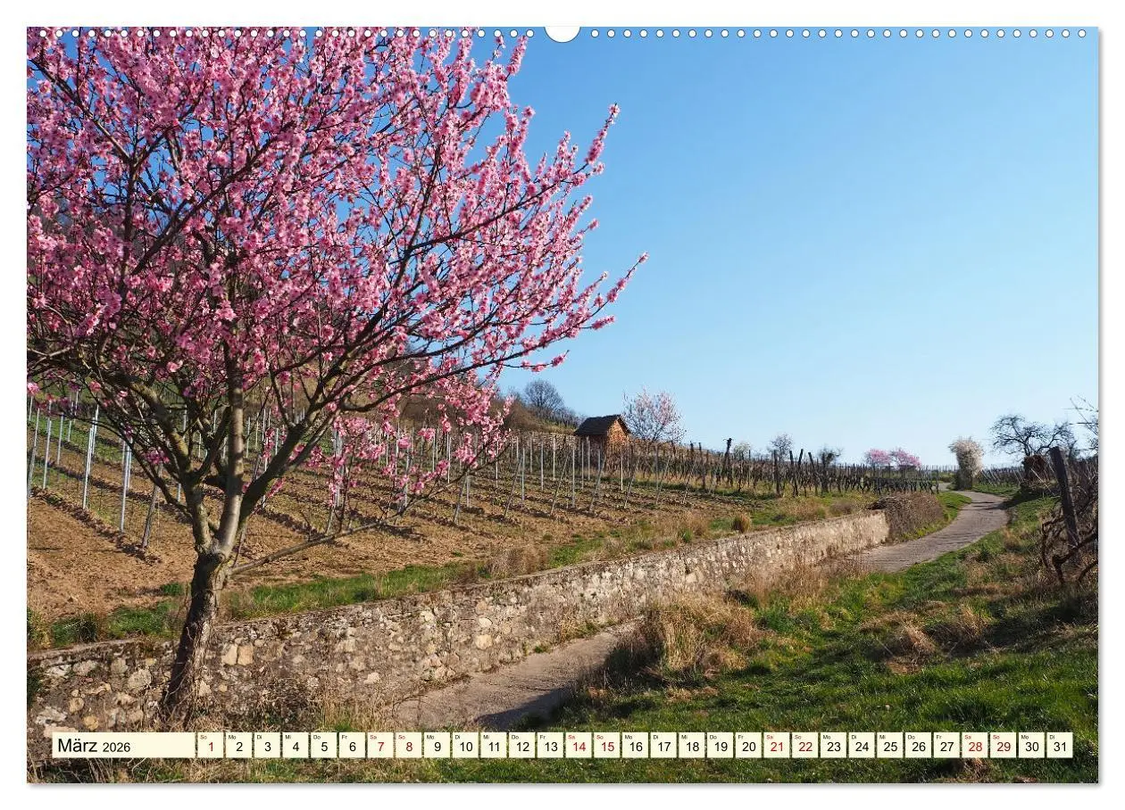 Bild: 9783457412145 | Bensheim a. d. Bergstraße - Ein Stadtspaziergang (hochwertiger...