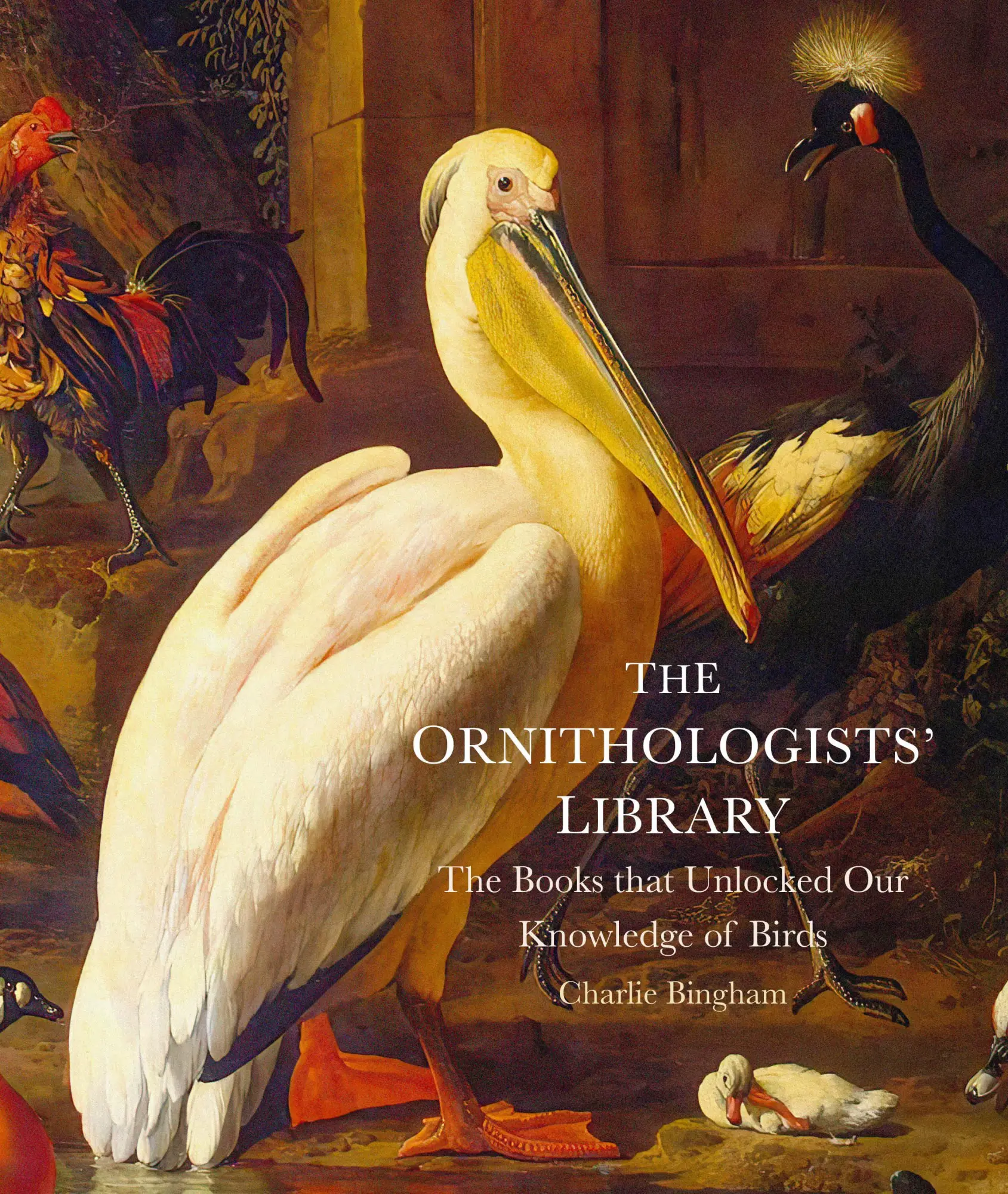 The Ornithologists' Library