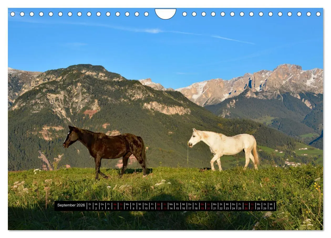Bild: 9783457642245 | Dolomiten - Latemar und Rosengarten (Wandkalender 2026 DIN A4...