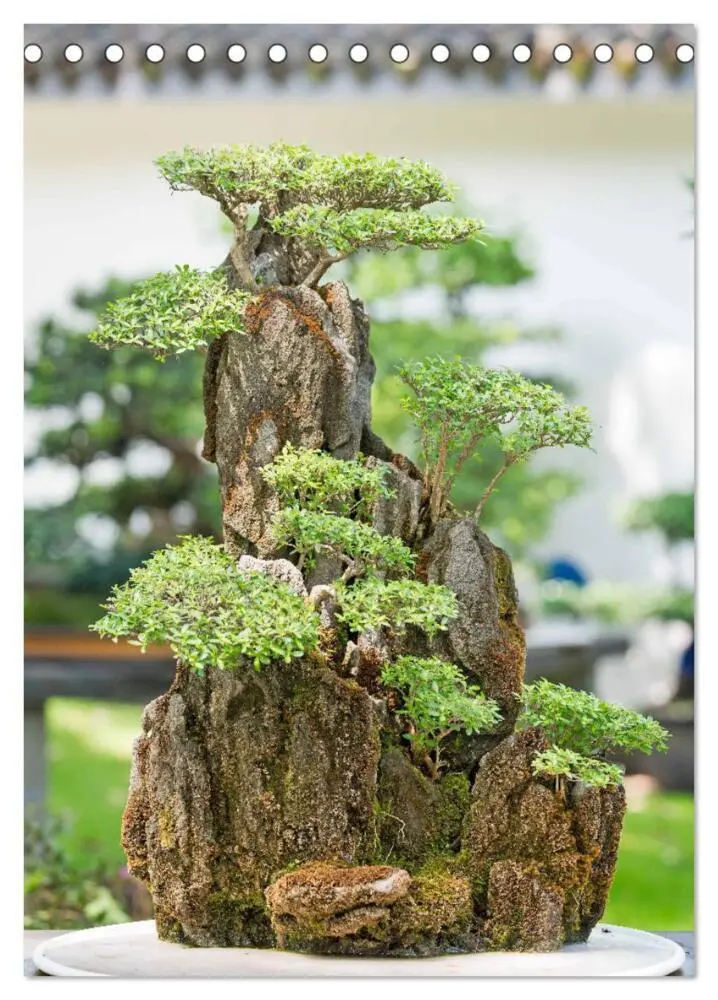 Bild: 9783435852345 | Bonsai: Gartenkunst im Kleinen (Tischkalender 2025 DIN A5 hoch),...