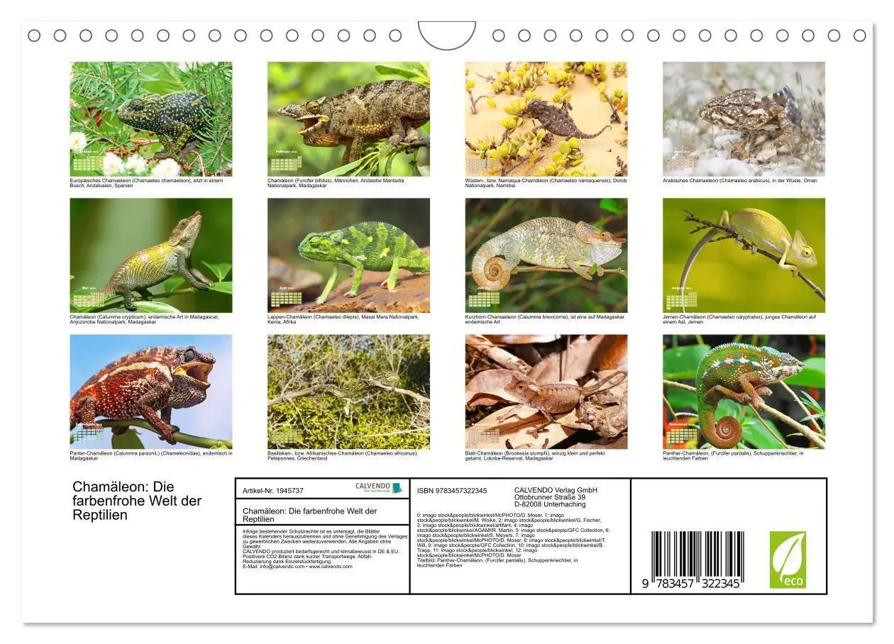 Bild: 9783457322345 | Chamäleon: Die farbenfrohe Welt der Reptilien (Wandkalender 2026...