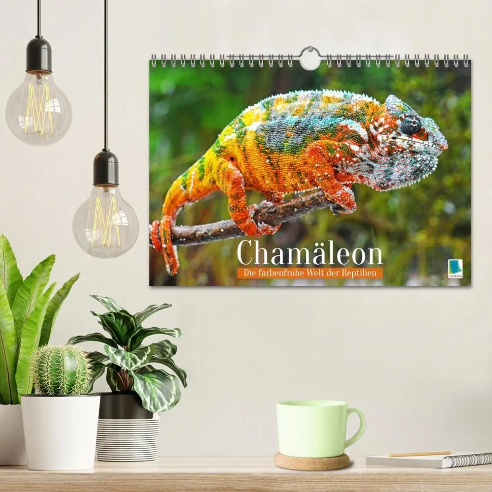 Bild: 9783457322345 | Chamäleon: Die farbenfrohe Welt der Reptilien (Wandkalender 2026...