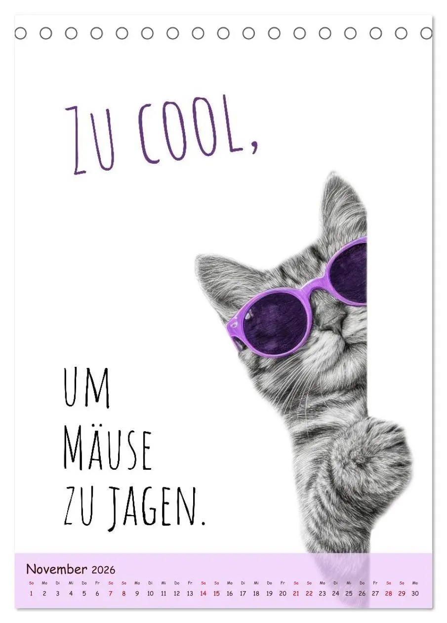 Bild: 9783516722345 | Katzenkult - Coolness auf vier Pfoten (Tischkalender 2026 DIN A5...