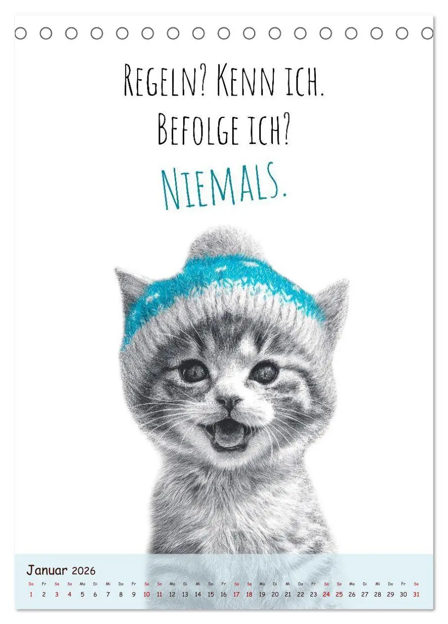 Bild: 9783516722345 | Katzenkult - Coolness auf vier Pfoten (Tischkalender 2026 DIN A5...