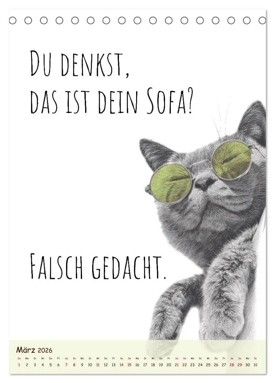 Bild: 9783516722345 | Katzenkult - Coolness auf vier Pfoten (Tischkalender 2026 DIN A5...