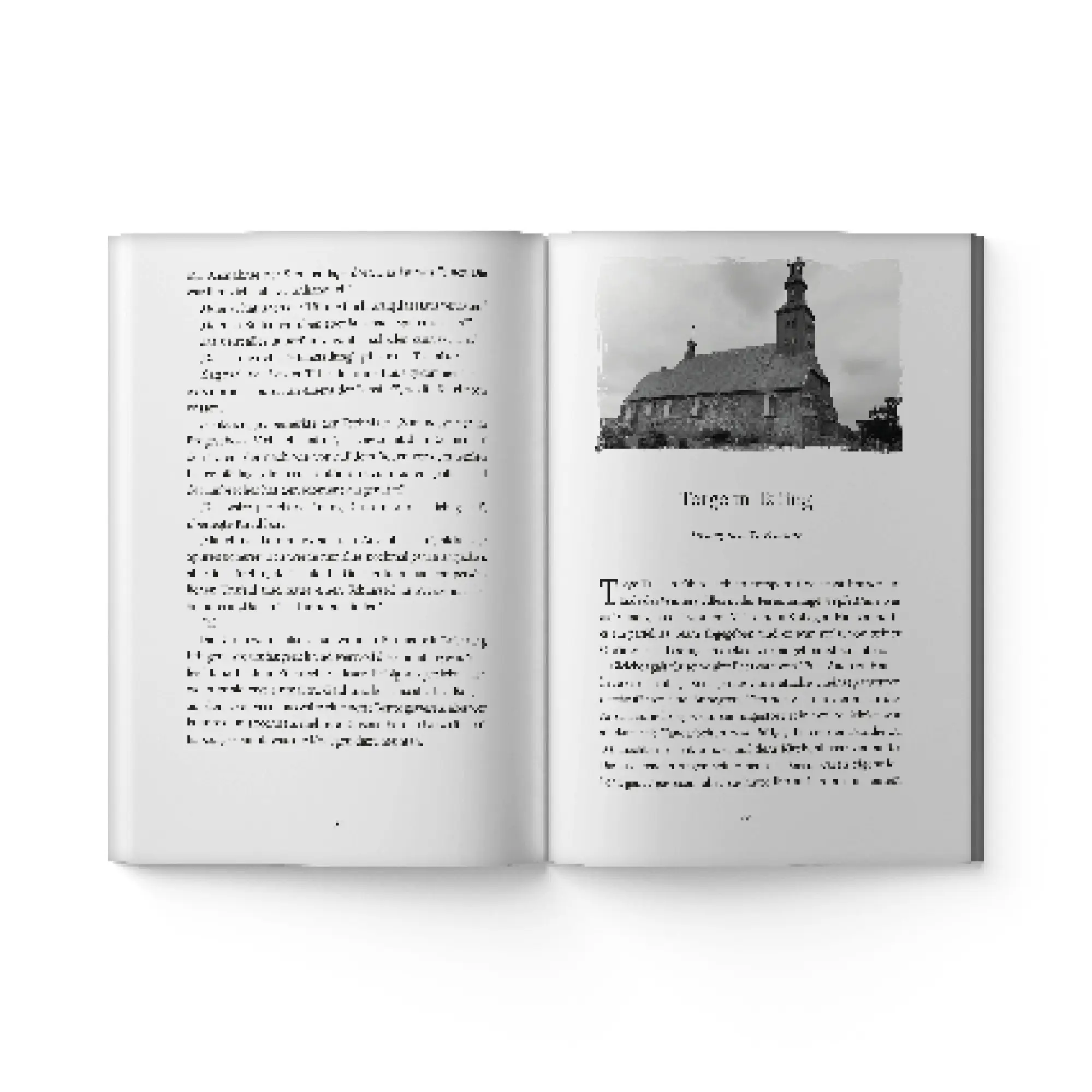 Bild: 9783986602345 | Torge unter Verdacht in St. Peter-Ording | Stefanie Schreiber | Buch