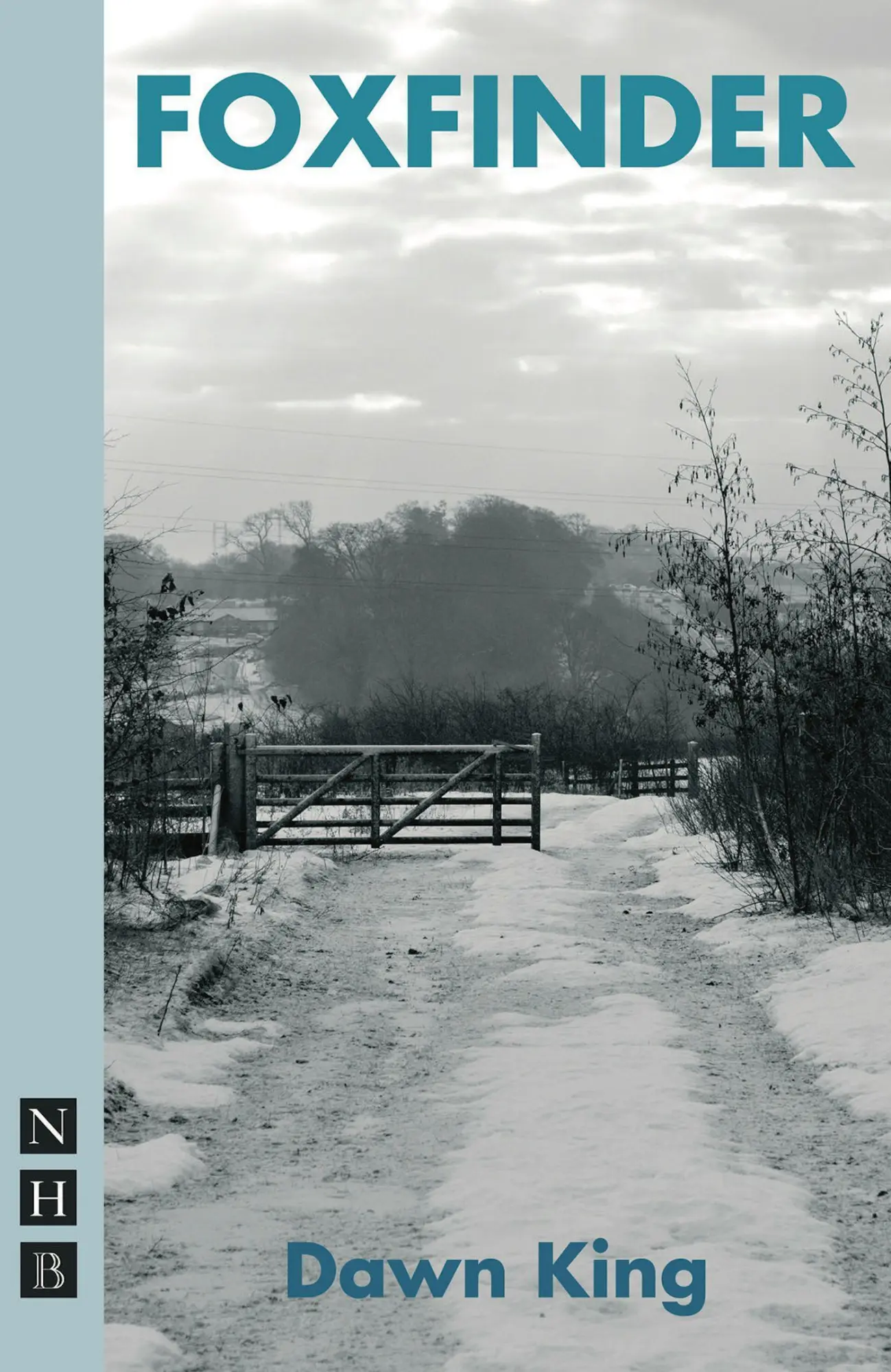 Cover: 9781848422445 | Foxfinder | Dawn King | Taschenbuch | Kartoniert / Broschiert | 2012