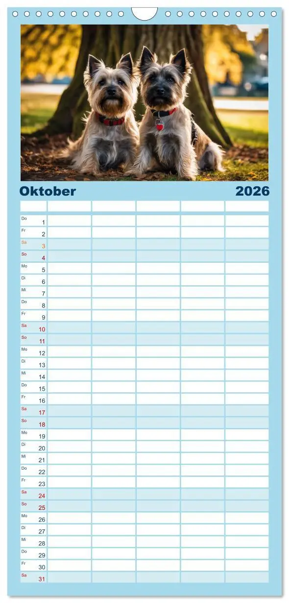 Bild: 9783516492545 | Familienplaner 2026 - Cairn Terrier - lustiges Raubein aus...