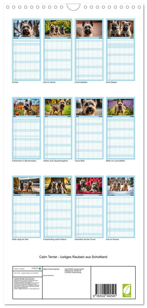 Bild: 9783516492545 | Familienplaner 2026 - Cairn Terrier - lustiges Raubein aus...