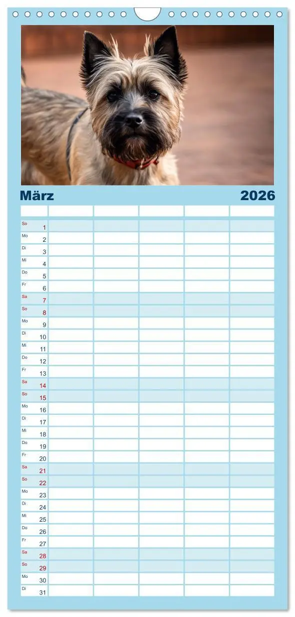 Bild: 9783516492545 | Familienplaner 2026 - Cairn Terrier - lustiges Raubein aus...