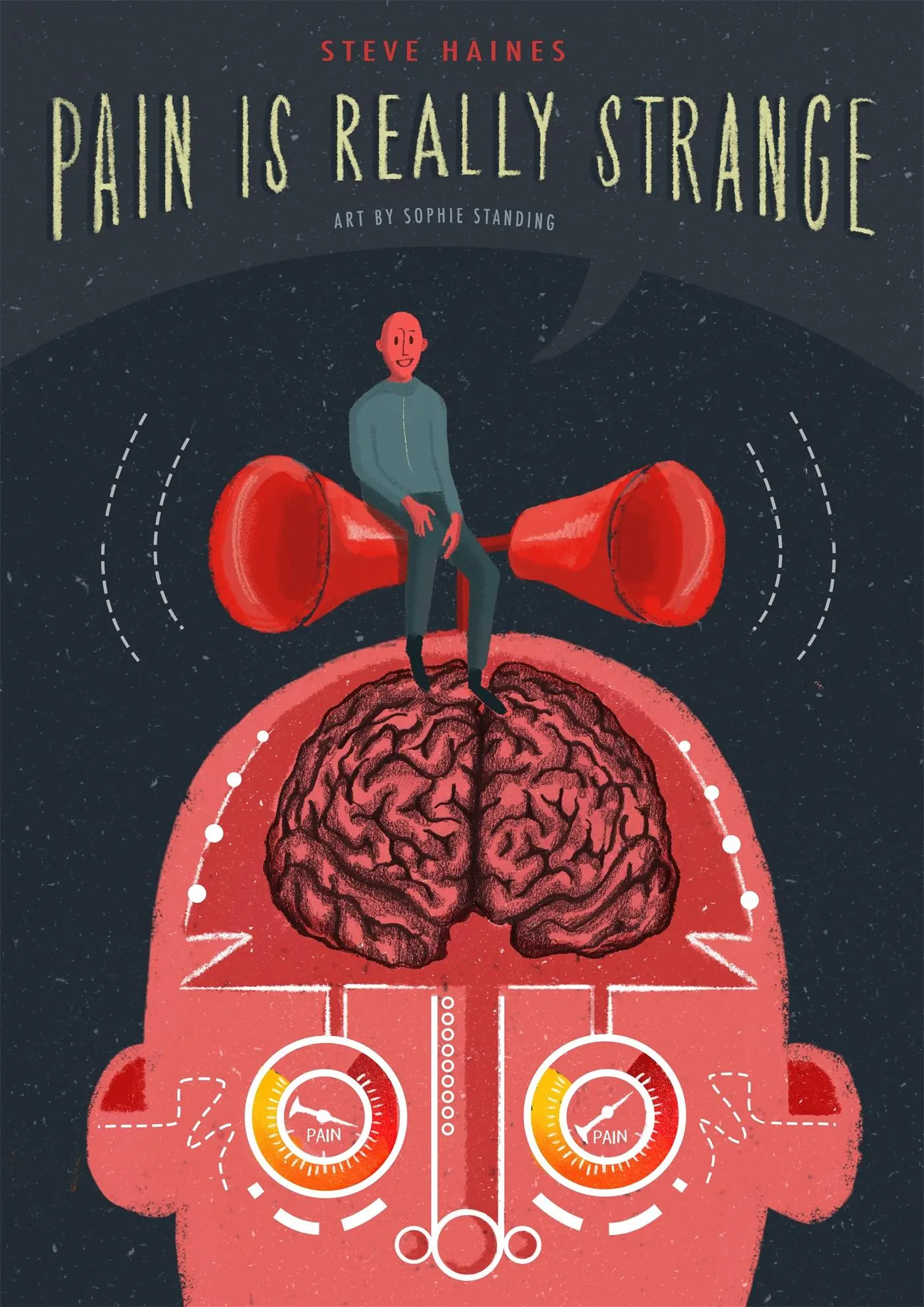 Cover: 9781848192645 | Pain is Really Strange | Graphic medicine | Steve Haines | Taschenbuch