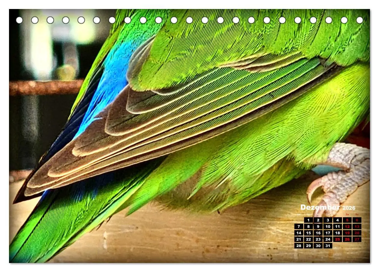 Bild: 9783457392645 | Die Unzertrennlichen (Tischkalender 2026 DIN A5 quer), CALVENDO...