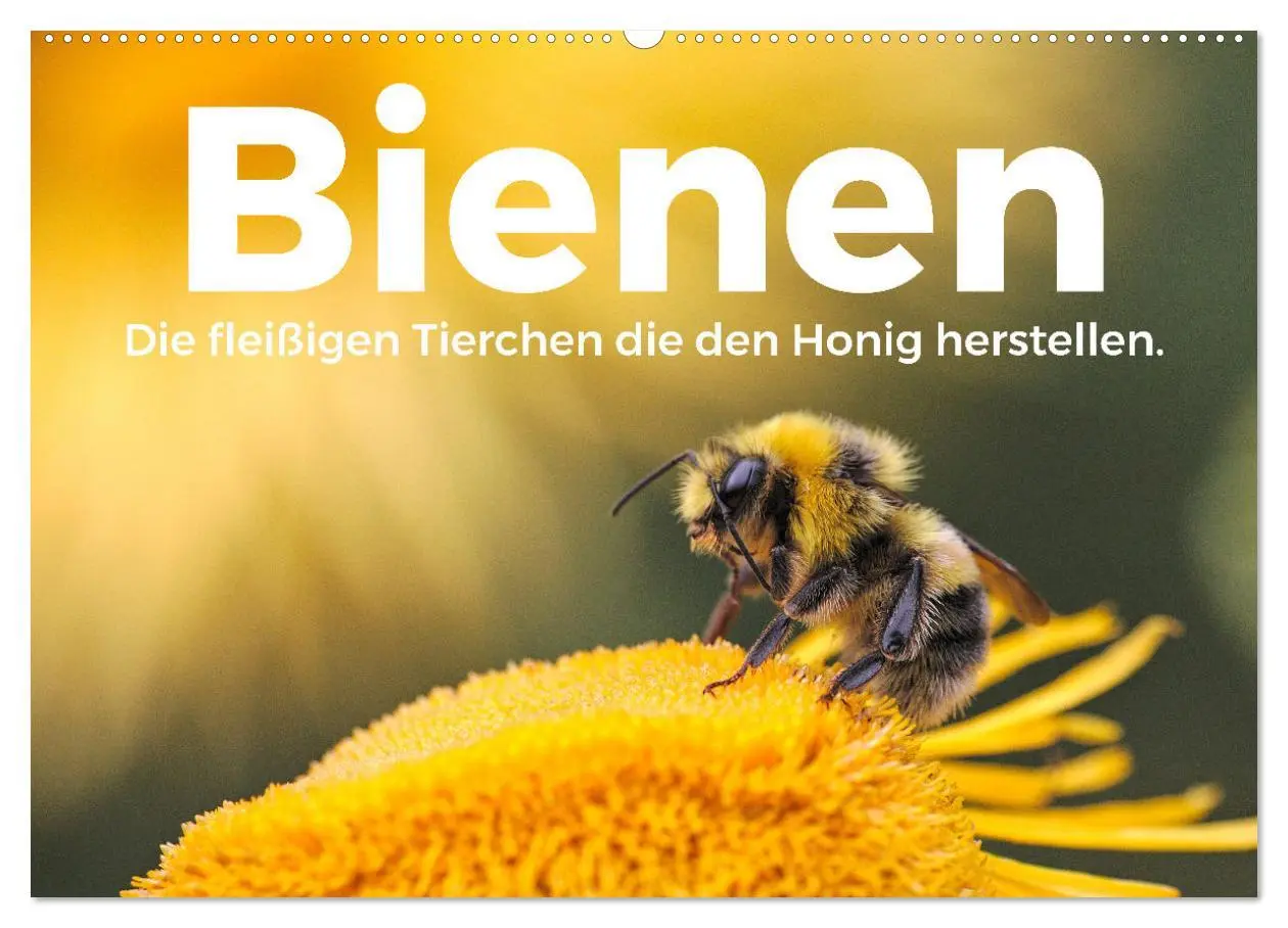 Cover: 9783457602645 | Bienen - Die fleißigen Tierchen die den Honig herstellen....