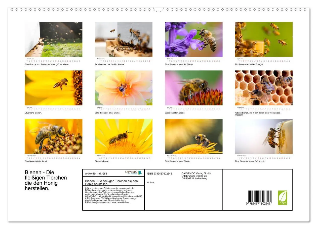Bild: 9783457602645 | Bienen - Die fleißigen Tierchen die den Honig herstellen....