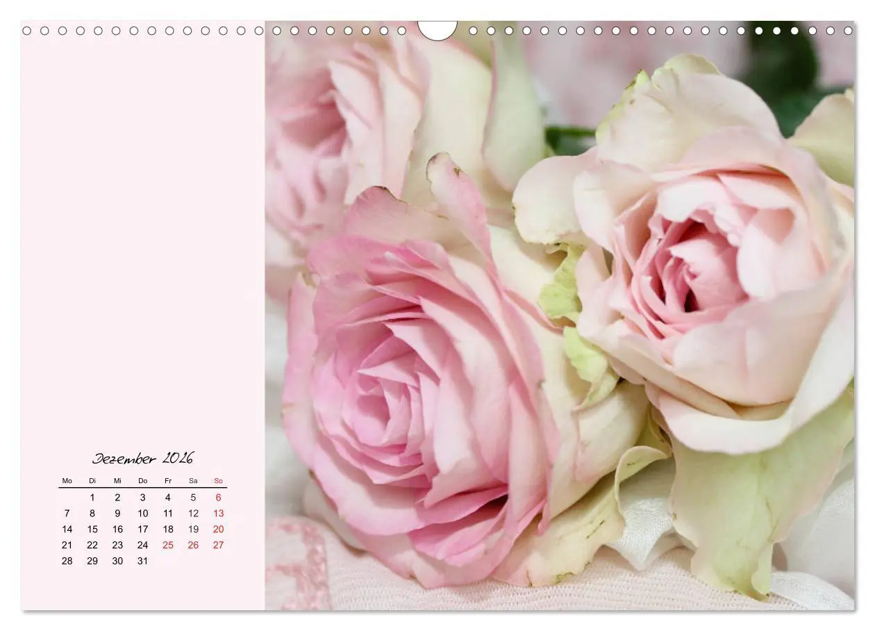 Bild: 9783457772645 | Rosen. Charmante und edle Königinnen (Wandkalender 2026 DIN A3...
