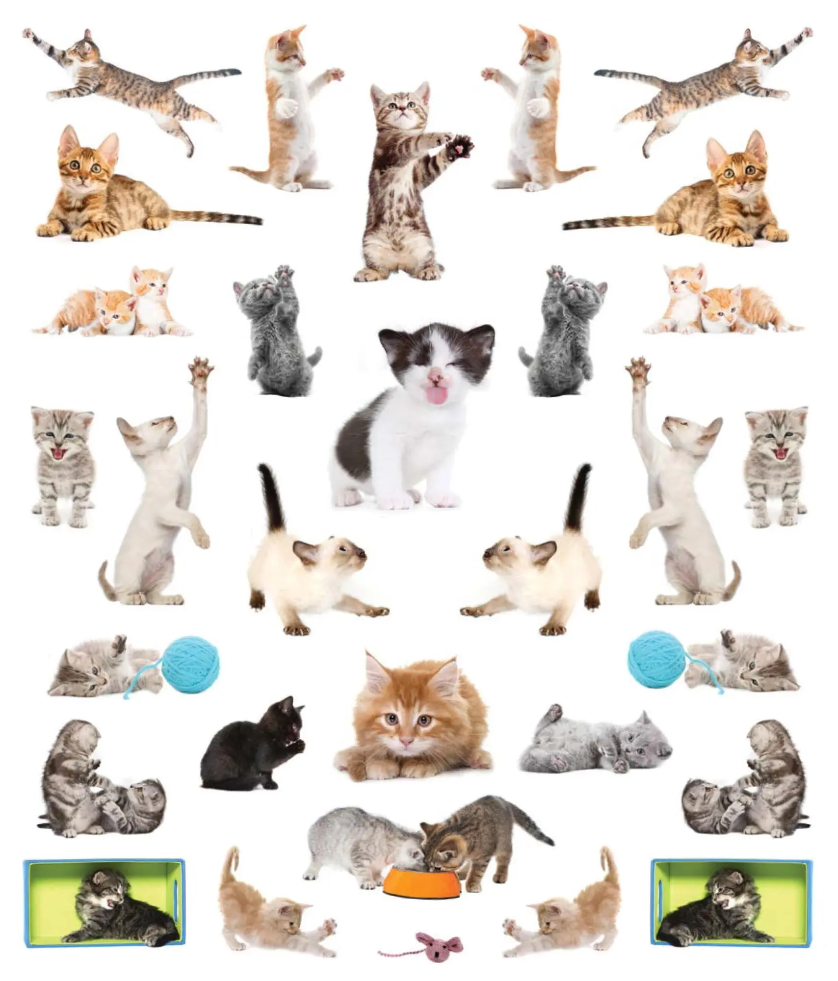 Bild: 9781523502745 | Eyelike Stickers: Kittens | 400 reusable stickers, inspired by nature