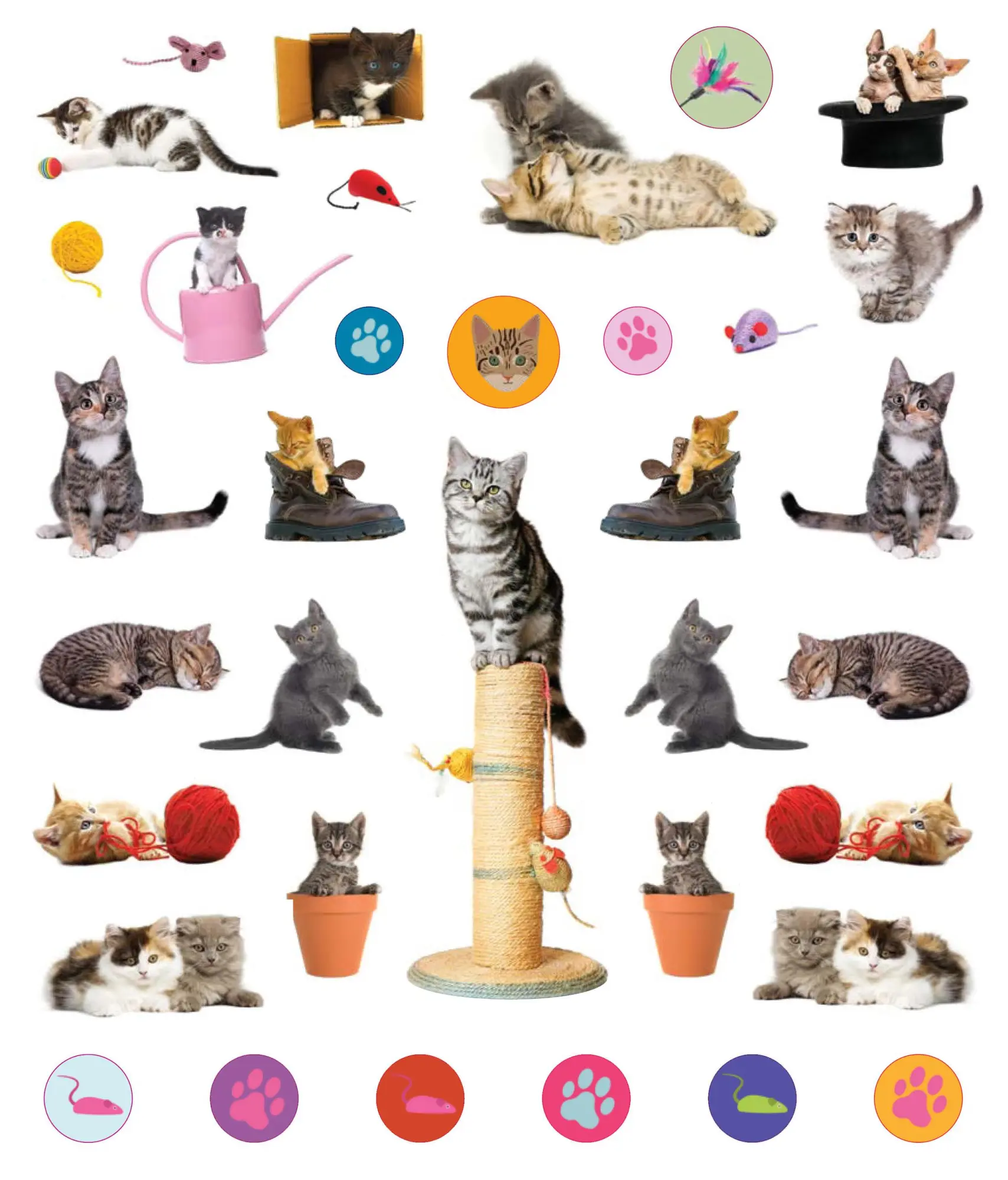 Bild: 9781523502745 | Eyelike Stickers: Kittens | 400 reusable stickers, inspired by nature