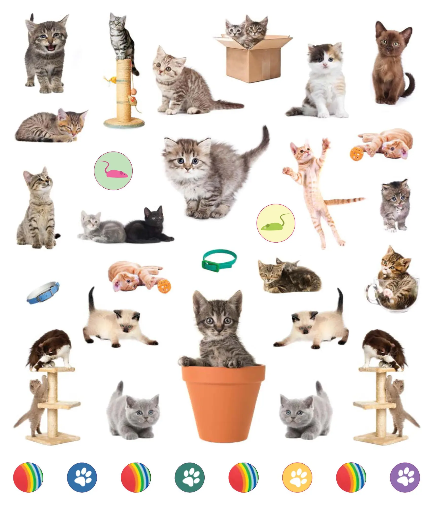 Bild: 9781523502745 | Eyelike Stickers: Kittens | 400 reusable stickers, inspired by nature