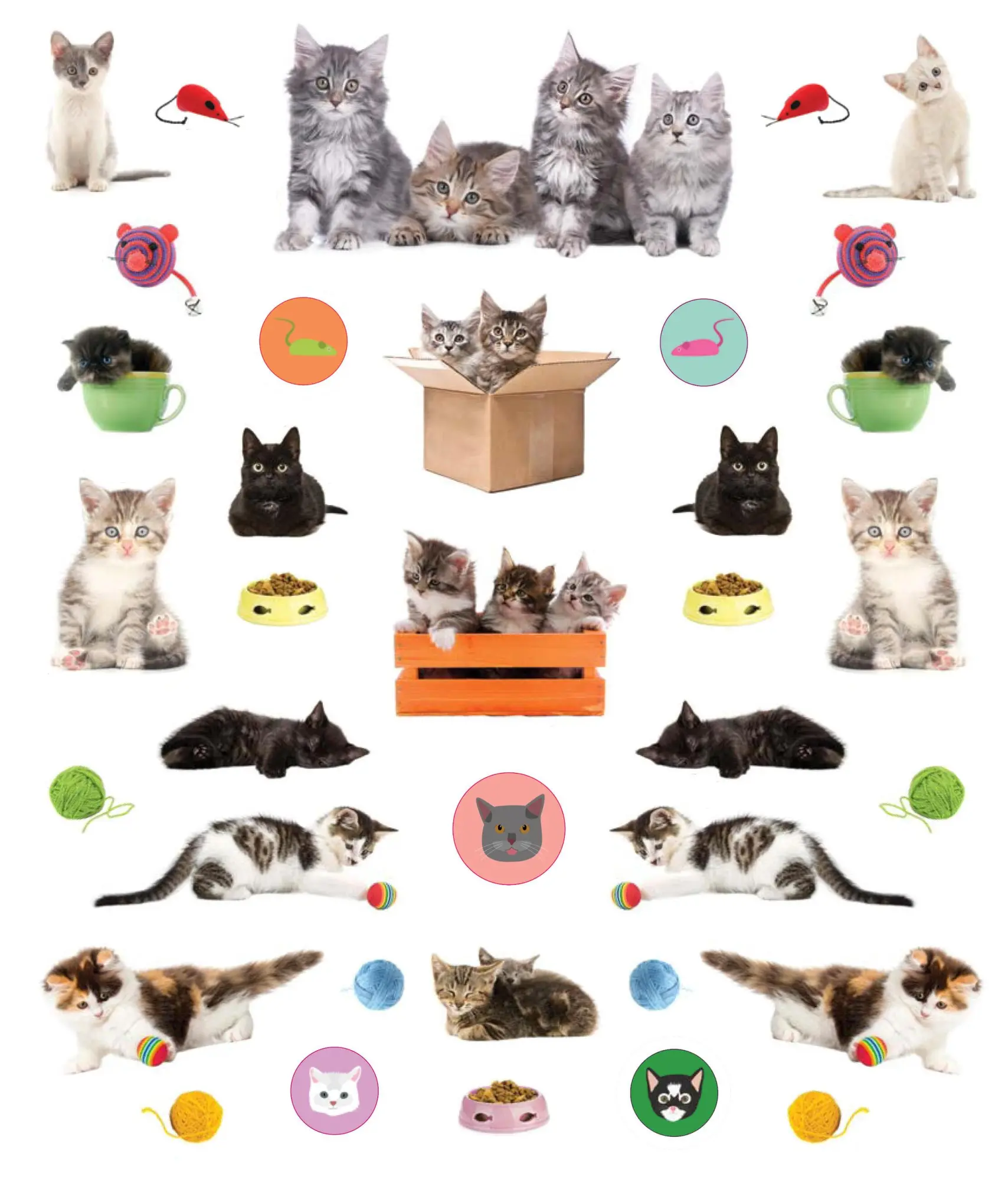 Bild: 9781523502745 | Eyelike Stickers: Kittens | 400 reusable stickers, inspired by nature