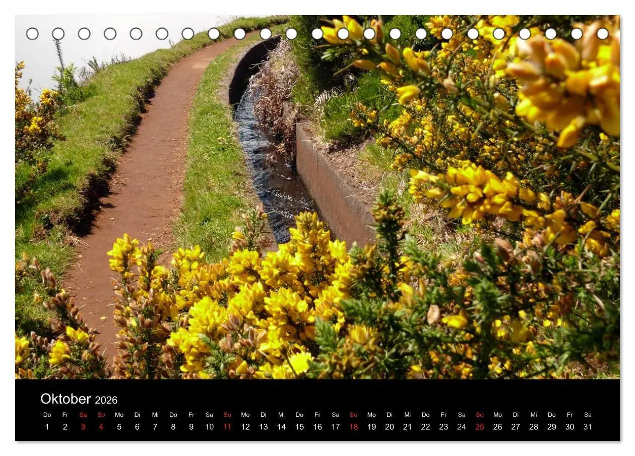 Bild: 9783516162745 | Madeira 2026 (Tischkalender 2026 DIN A5 quer), CALVENDO Monatskalender