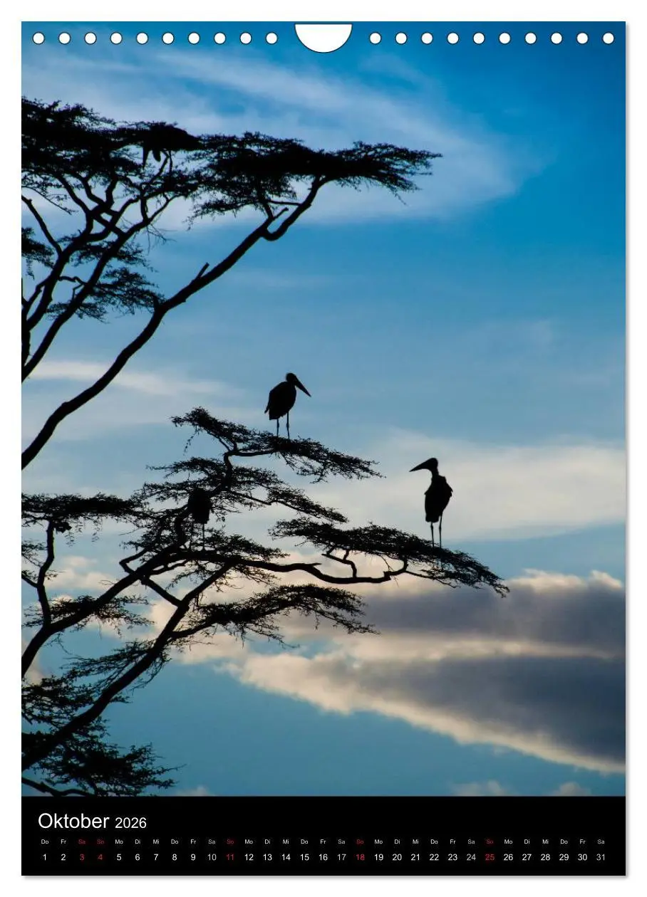 Bild: 9783516472745 | Wildes Afrika (Wandkalender 2026 DIN A4 hoch), CALVENDO Monatskalender