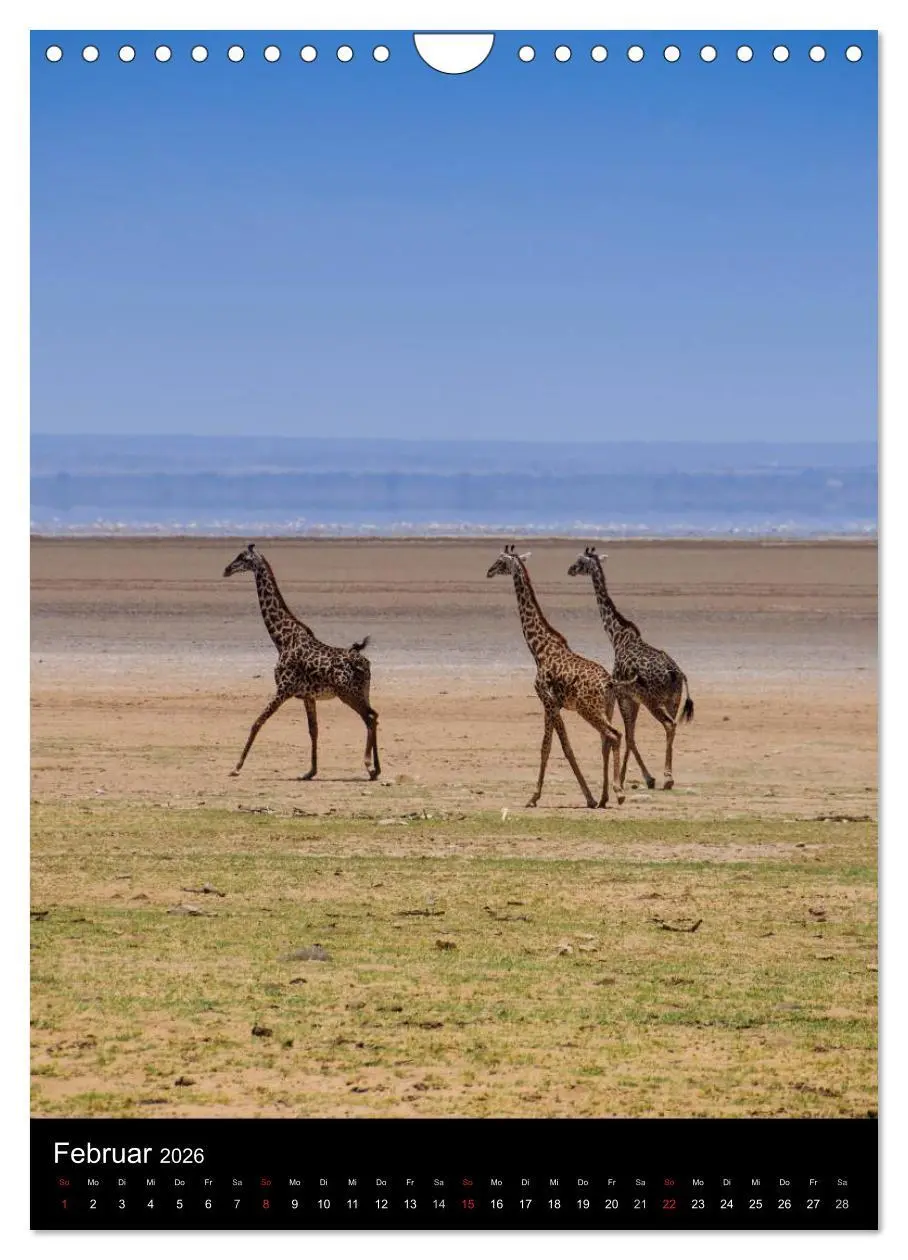 Bild: 9783516472745 | Wildes Afrika (Wandkalender 2026 DIN A4 hoch), CALVENDO Monatskalender