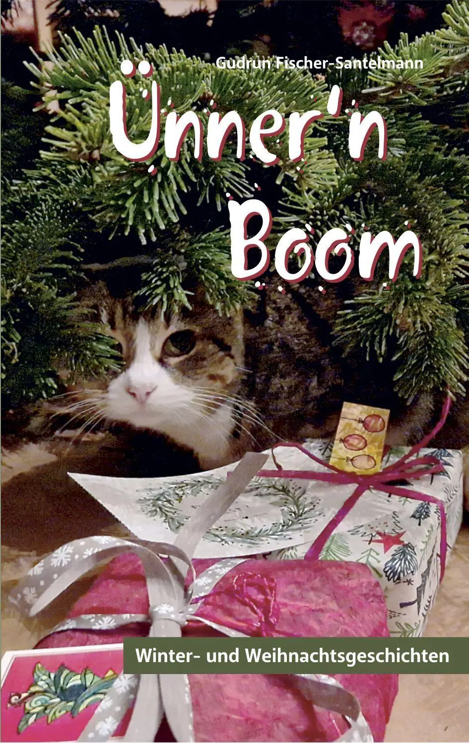 Cover: 9783730822845 | Ünner'n Boom | Winter- und Weihnachtsgeschichten | Fischer-Santelmann
