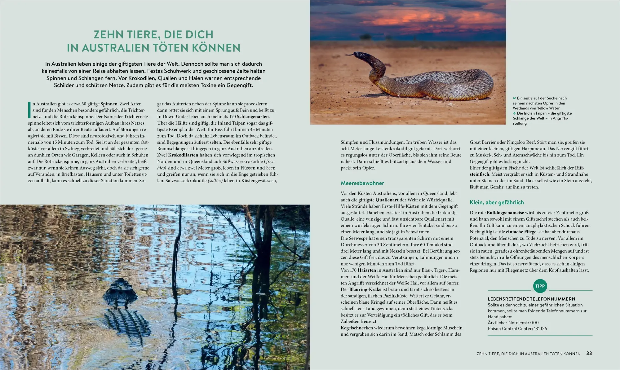 Bild: 9783734332845 | Roadtrips Australien | Nina Waldkirch | Taschenbuch | 192 S. | Deutsch