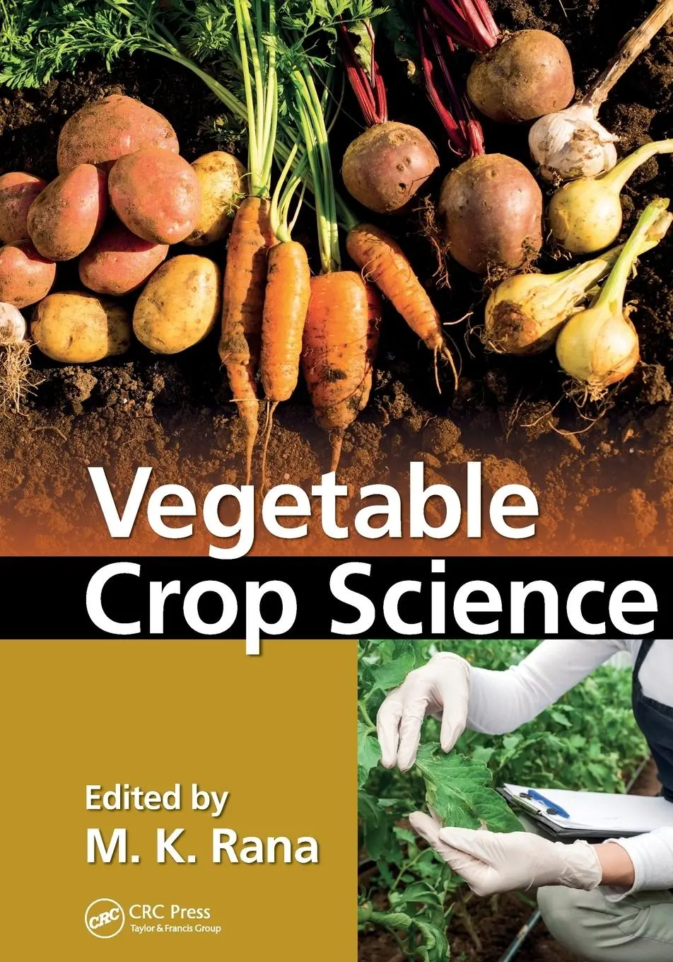 Cover: 9780367572945 | Vegetable Crop Science | M. K. Rana | Taschenbuch | Englisch | 2020