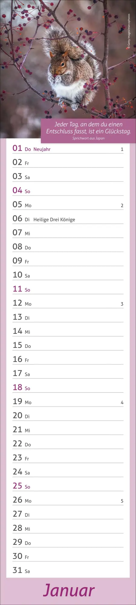 Bild: 9783756412945 | times&amp;more Tage voller Glück Langplaner 2026 | Heye | Kalender | 13 S.