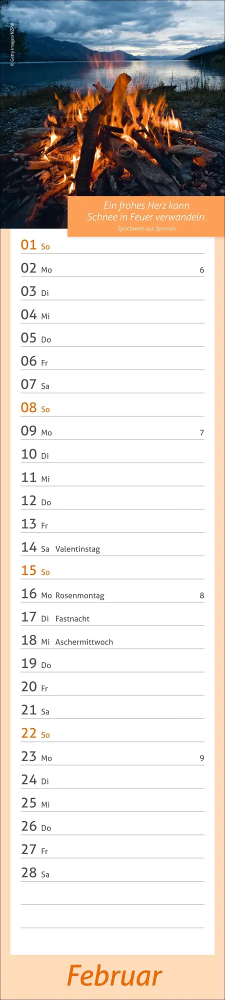 Bild: 9783756412945 | times&amp;more Tage voller Glück Langplaner 2026 | Heye | Kalender | 13 S.