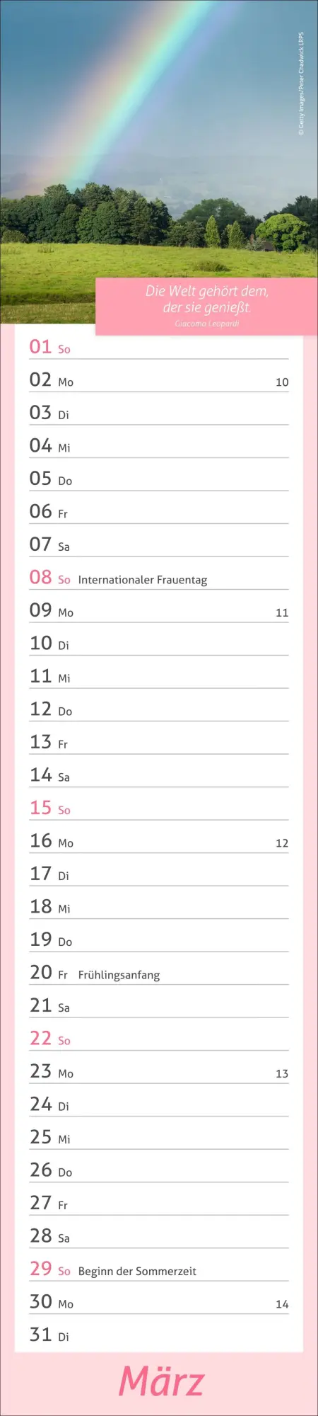 Bild: 9783756412945 | times&amp;more Tage voller Glück Langplaner 2026 | Heye | Kalender | 13 S.