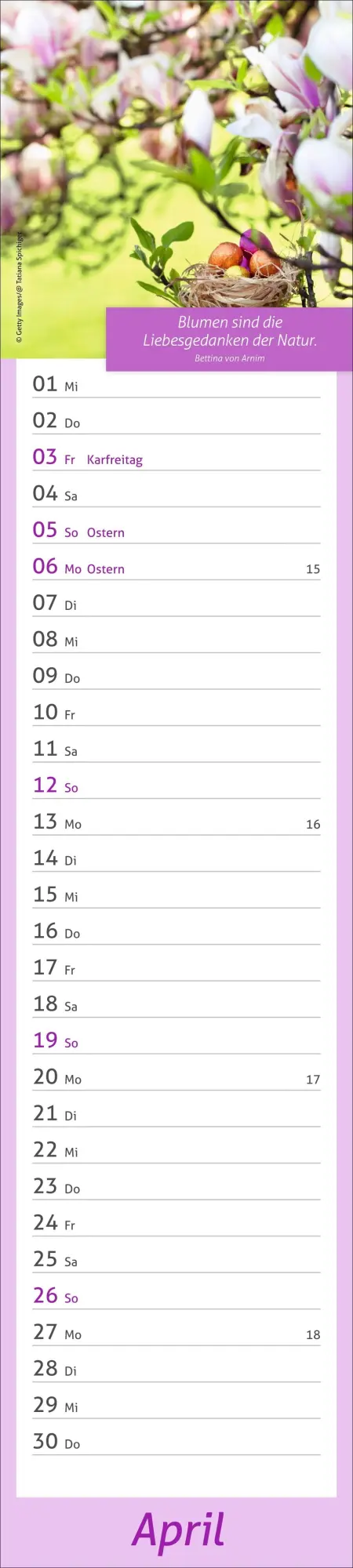 Bild: 9783756412945 | times&amp;more Tage voller Glück Langplaner 2026 | Heye | Kalender | 13 S.