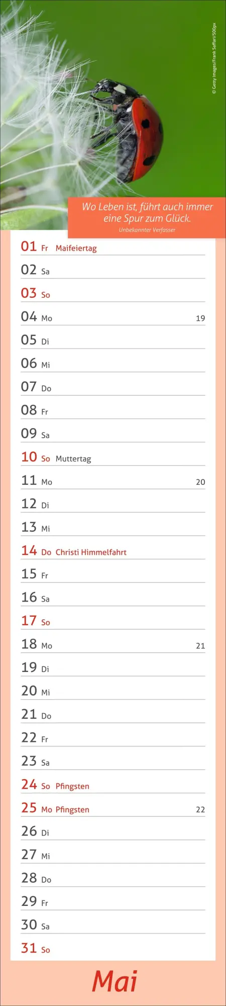Bild: 9783756412945 | times&amp;more Tage voller Glück Langplaner 2026 | Heye | Kalender | 13 S.