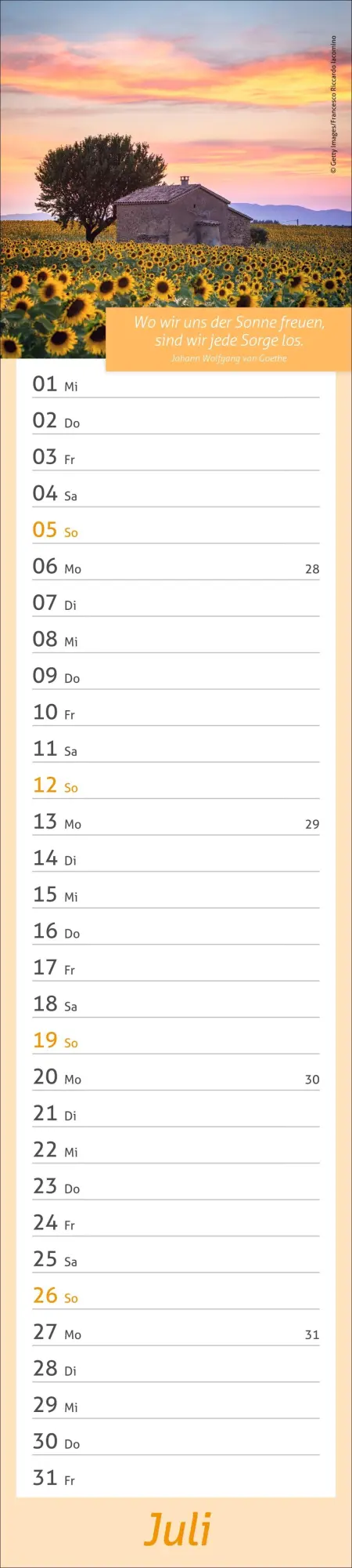 Bild: 9783756412945 | times&amp;more Tage voller Glück Langplaner 2026 | Heye | Kalender | 13 S.
