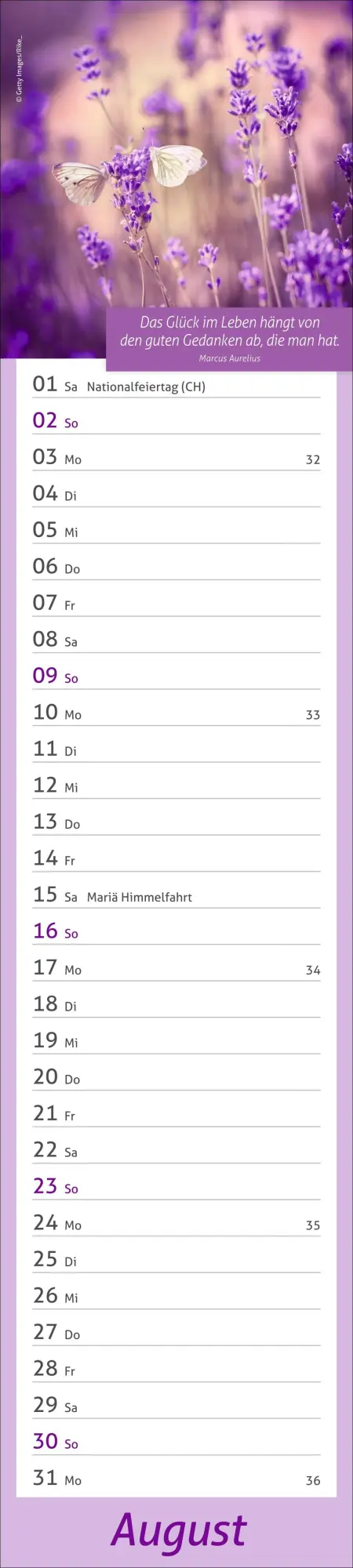 Bild: 9783756412945 | times&amp;more Tage voller Glück Langplaner 2026 | Heye | Kalender | 13 S.