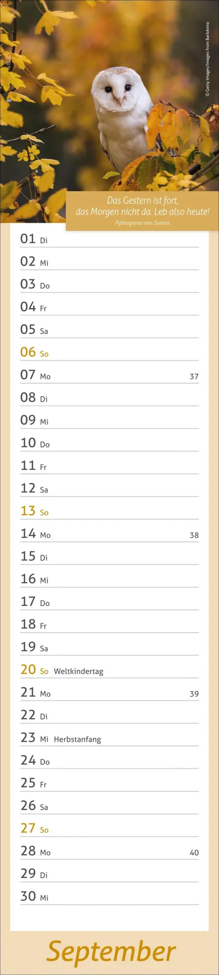 Bild: 9783756412945 | times&amp;more Tage voller Glück Langplaner 2026 | Heye | Kalender | 13 S.
